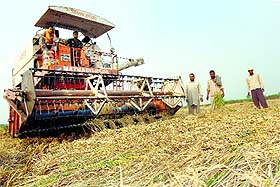 A combine harvester in use near Rajpura.