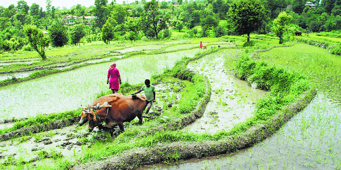 In rural tourism, travellers are encouraged to experience a farmers life and learn different practices
