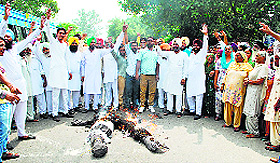 Congress workers burn an effigy of the SDM in Sirhind on Sunday. 