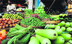 Fresh and locally grown vegetables are bound to be more nutritious than those that cover more food miles. a tribune photograph