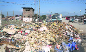 A file photo of the garbage littered on the main road in Srinagar.