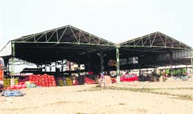The Vallah wholesale fruit and vegetable market in Amritsar
