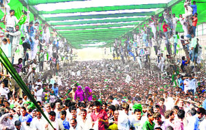 Crowd at the Samman Diwas Samaroh to observe former Deputy Prime Minister Devi Lals birth centenary in Jind on Thursday.