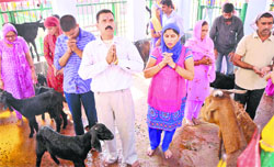 Devotees offer prayers on the first day of the Navratras at the Bawe Wali Mata temple in Jammu on Thursday. Tribune photo: Inderjeet Singh