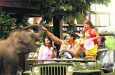 Animal bond: A still from BandhanSaari Umar Humein Sang Rehna Hai