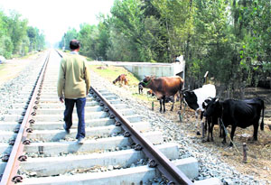 A man walks on a railway track at Gulzarpora in south Kashmirs Pulwama district. Rail service was suspended between Srinagar and Banihal due to the floods in Kashmir.