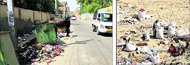 Garbage has been lying on Mini-secretariat Road for a long time; and (right) the Municipal Solid Waste Management Plant site situated on the Mansa Road in Bathinda.