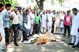 Members of the Kisan and Khet Mazdor Cell of the Congress burn an effigy of the Prime Minister in Bathinda on Monday.