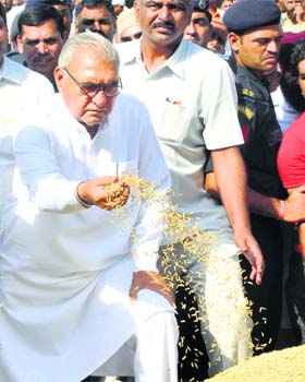 Chief Minister Bhupinder Singh Hooda inspects paddy at Taraori grain market on Monday