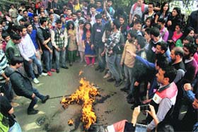 Students burn the effigy of the VC at the DC office in Shimla on Monday