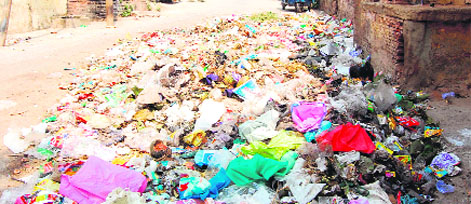 Heaps of garbage lying undisposed near a dumping yard at Raj Ghat in Haridwar on Monday. Tribune photo