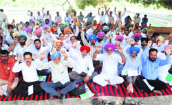Members of the PWD Mulazam Sangharsh Committee stage a protest in Bathinda on Tuesday. Tribune photo: Pawan Sharma