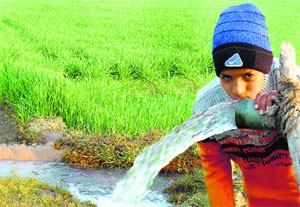 The present cost of domestic tube wells is Rs 22.23 crore. Public tube wells can easily meet the water needs of the villagers and save the expense of setting up individual connections. But community-based use of water and other resources is not encouraged. Tribune photo: Malkiat Singh
