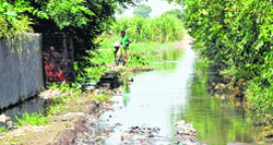 A cyclist looks for a way on a flooded road at Ghogripur village of Karnal district that gave five MLAs to Haryana. Tribune photo: Ravi Kumar