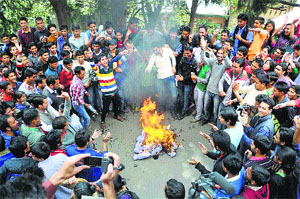 Students burn the Chief Ministers effigy at the DC office in Shimla on Wednesday.