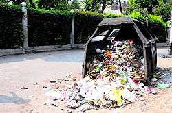 Garbage strewn by the roadside near the Golden Temple in Amritsar on Thursday