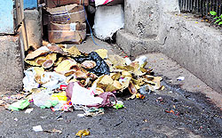 Garbage strewn by the roadside near the Golden Temple in Amritsar on Thursday