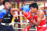 Boxers in action during the State Boxing Championship at SD College in Chandigarh on Thursday. Tribune Photo: Manoj Mahajan