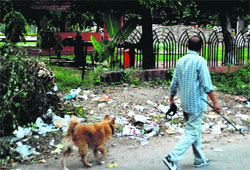 Garbage lies scattered near the war memorial of the late Major Sandeep Shankla in Sector 2, Panchkula. Tribune Photo: Nitin Mittal