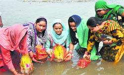 Devotees immerse 'saakh' (barley sprouts) in the Tawi in Jammu on Thursday. Tribune photo: Inderjeet Singh