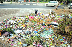 Garbage dumped on Pakhowal Road near Sidhwan Canal in Ludhiana on Friday. 