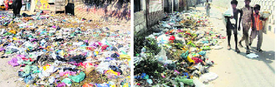 Heaps of garbage on the Raikot road and the Tehsil road (right) in Jagraon. The MC has failed to address the issue. Tribune photographs