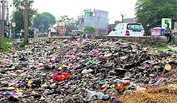 Garbage dumped in Pandori village on the outskirts of Amritsar