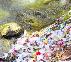 A heap of garbage seen in a stream in Palampur.