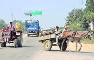 Residents of Uttar Pradesh return after purchasing fuel from Haryana, as petrol and diesel is cheaper here by Rs 6. This picture was taken at the Haryana-UP border on Sunday. 