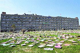 Thousands of files damaged by the floods left in the open to dry on the civil secretariat premises in Srinagar.