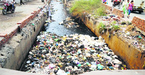 Ganda Nullah in Ludhiana looks like a dumping site. The civic authorities have failed to get it cleaned.