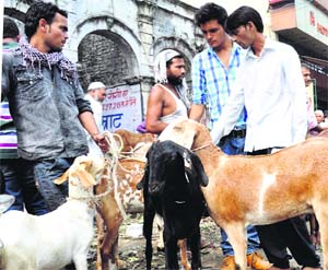 A day ahead of Eid-ul-Zuha, people buy goats at Inamulla Building in Dehradun on Sunday