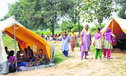 Flood victims living in tents in Sure Chak village of Jammu district. Tribune Photo: Inderjeet Singh