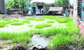 Sewage flows on to an open area due to lack of sewerage facilities
