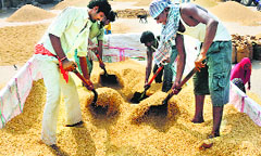 The Centre has agreed to accept rice with moisture level up to 15%
