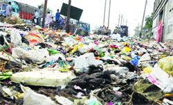 A garbage dump on the Jalandhar bypass in Ludhiana. Photo: Inderjeet Verma