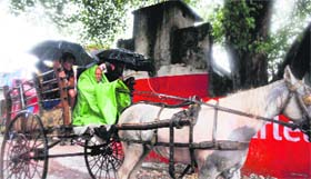 under cover: Horse cart driver and passengers protect themselves from rain with a polythene sheet and umbrellas in Jammu.
