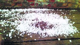 A hailstorm lashed Sriganganagar on Wednesday evening for about 15 minutes, damaging crops