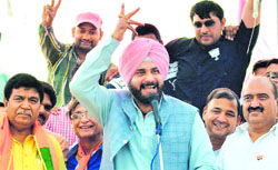 BJP leader Navjot Singh Sidhu in his elements during a rally in support of partys Panchkula candidate Gyan Chand Gupta at Rattewali village in Barwala on Friday. Tribune Photo