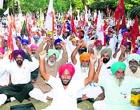 Farmers protest outside the Deputy Commissioners office in Amritsar on Friday.