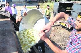 Health officials destroy adulterated food items during a surprise check at the Industrial Area, Phase II