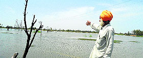 A file photo of a waterlogged field.