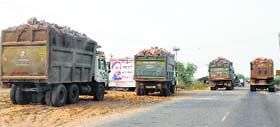 Trucks carry mined stone in Mewat. Many of these vehicles dont have permits, leading to fights between rival political groups.