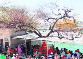 Dukhbhanjani Beri at the Golden Temple