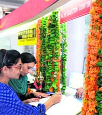 Students deposit fees at the newly inaugurated counter at the post office of Panjab University on Tuesday.
