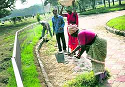 Employees clean the area near Student Centre at Panjab University on Wednesday