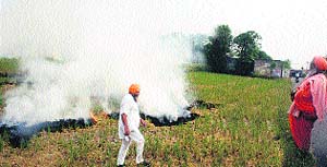 Environmentalist Balbir Singh Seechewal requesting farmers not to burn paddy straw in a village along the Kapurthala-Sultanpur Lodhi Road