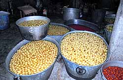 Huge stock of sweets seized by the Health Department during a raid conducted at an illegal factory in Amritsar on Wednesday
