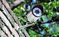 CCTV camera installed on the college premises