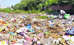 A vacant site being used as a dumping ground in Maharishi Valmiki Nagar, Ludhiana
